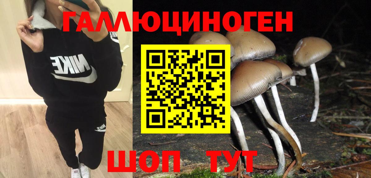 Галлюциногенные грибы ЛСД Кулебаки
